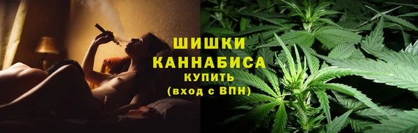 прущая мука Пересвет