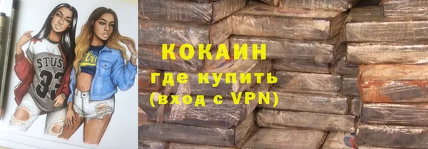 2c-b Пестово